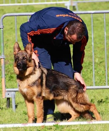 Hamnesia Di Voghenza - Classe 4-6 mois : 2 ième Très Prometteur