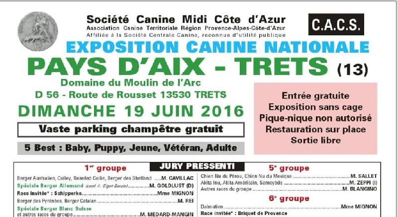 Hamnesia Di Voghenza - classe travail : V5 - 5ieme Excellent