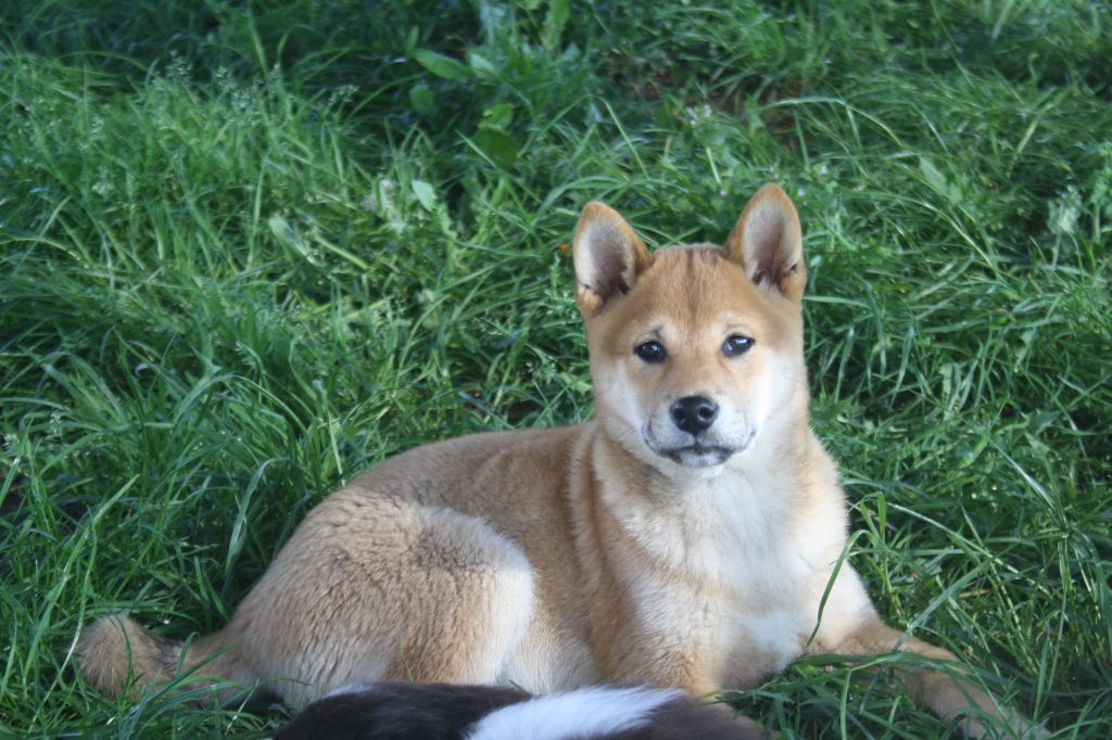 Publication : La Seigneurie Du Domaine D'Eole