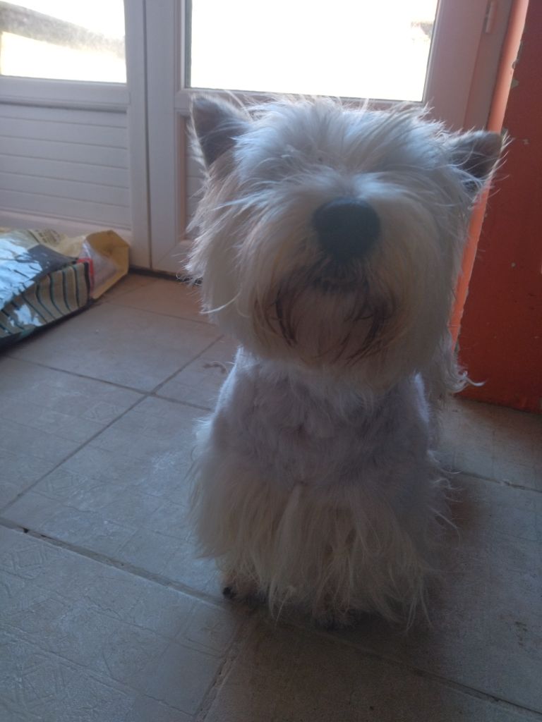 Publication : La Seigneurie Du Domaine D'Eole