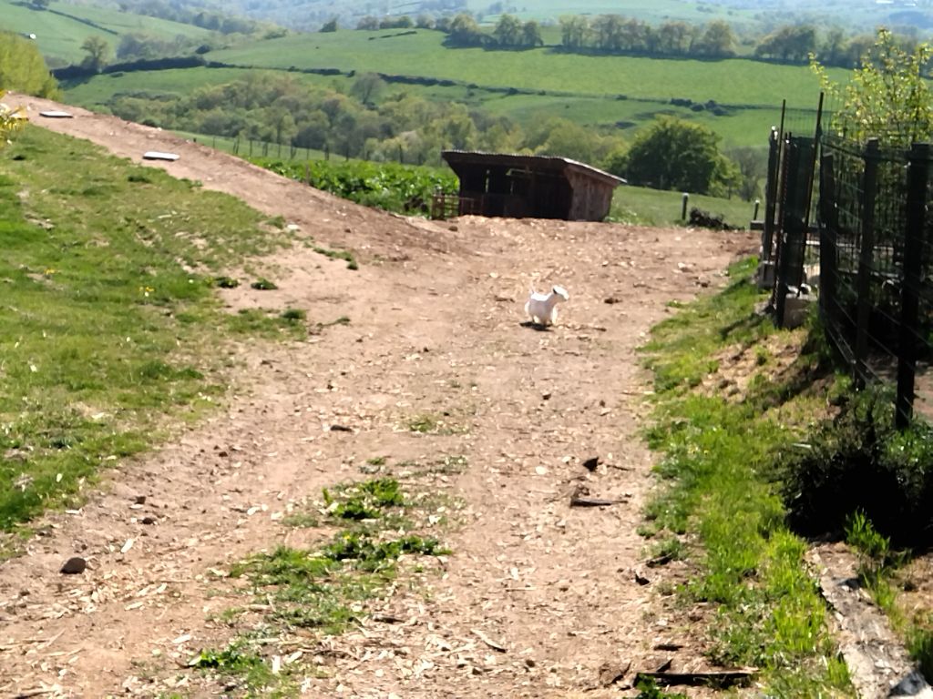 Publication : La Seigneurie Du Domaine D'Eole