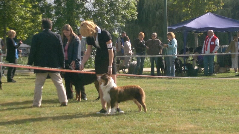 Guilys de la chaumière d' hénélia - 1er TB /1