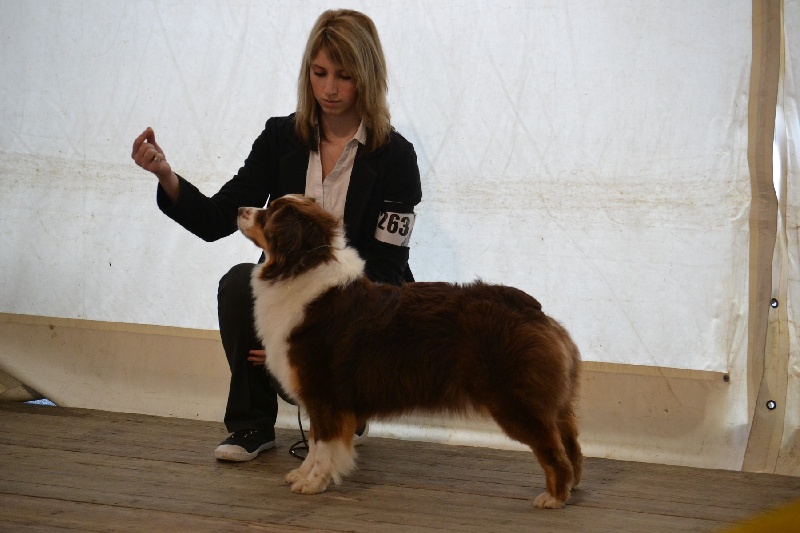 Guilys de la chaumière d' hénélia - Excellent