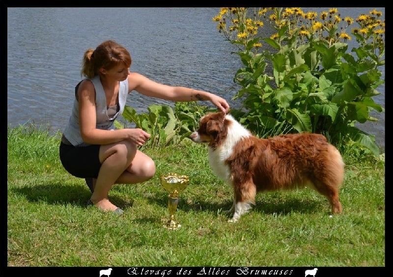 Guilys de la chaumière d' hénélia - 1er exc / 7 + CACS