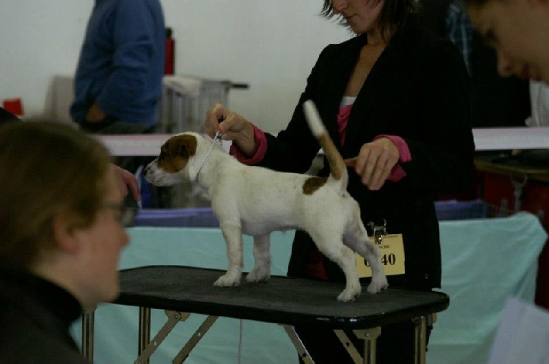 Terra Dumbis Hâpy - 1ére très prometteur