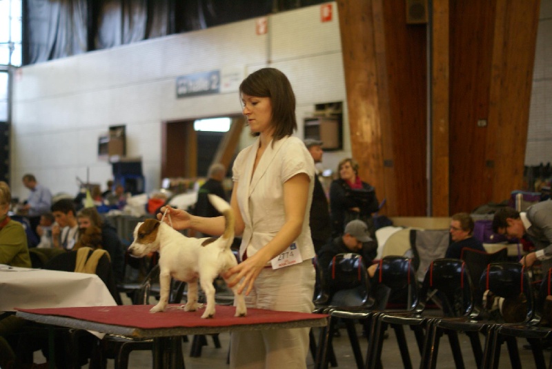 Terra Dumbis Hâpy - 2éme prometteur