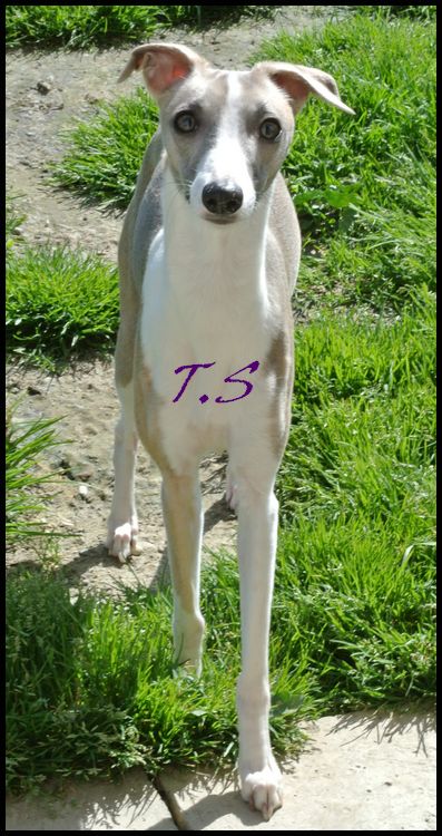 Publication : Des Filles D'eole