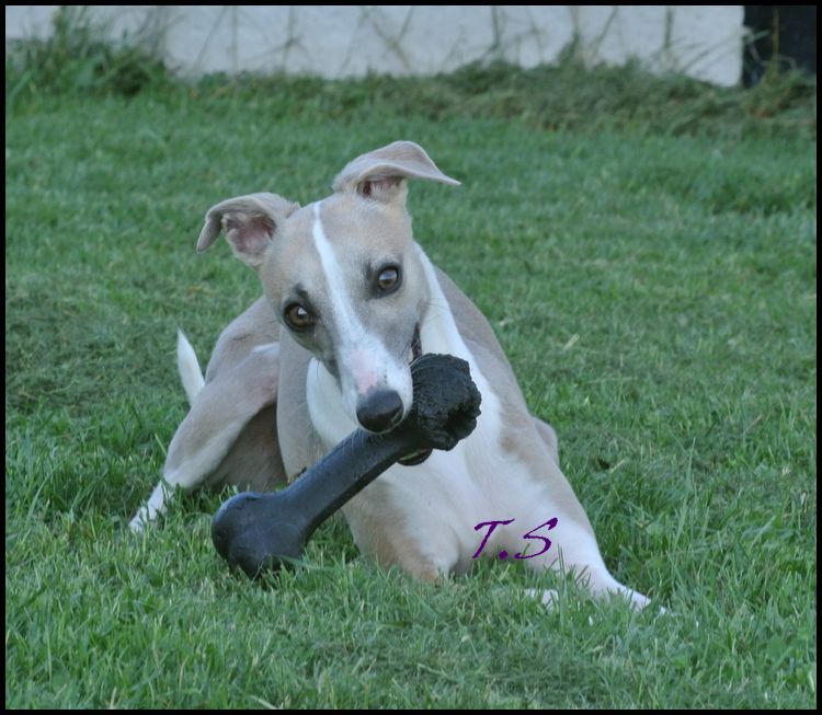 Publication : Des Filles D'eole