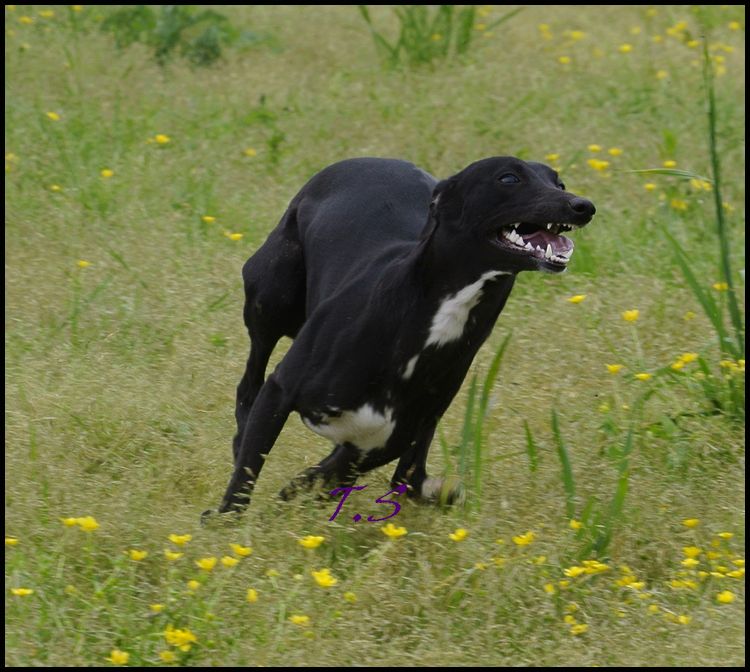 Publication : De La Truffe Sacrée