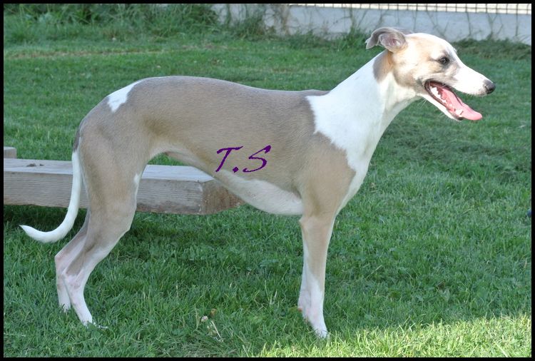 Publication : Des Filles D'eole