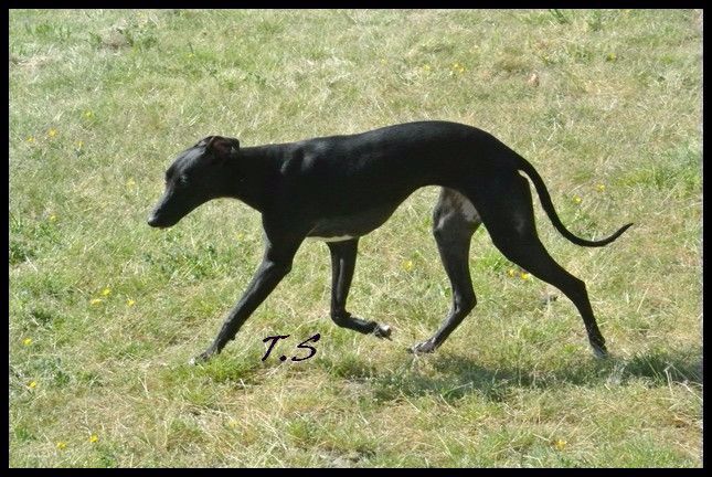 Publication : De La Truffe Sacrée