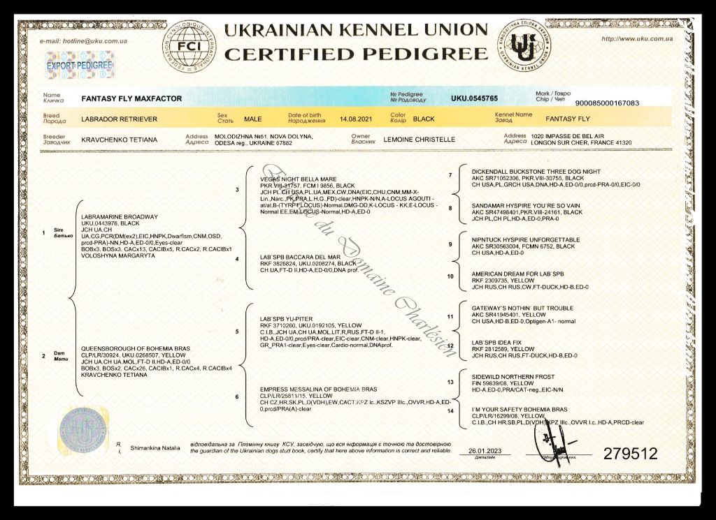 Publication : Du Domaine Charlésien Auteur : Lemoine Christelle