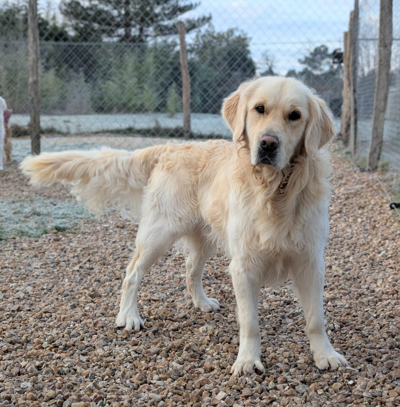 Vaïnaho Elixir d'Aydoilles