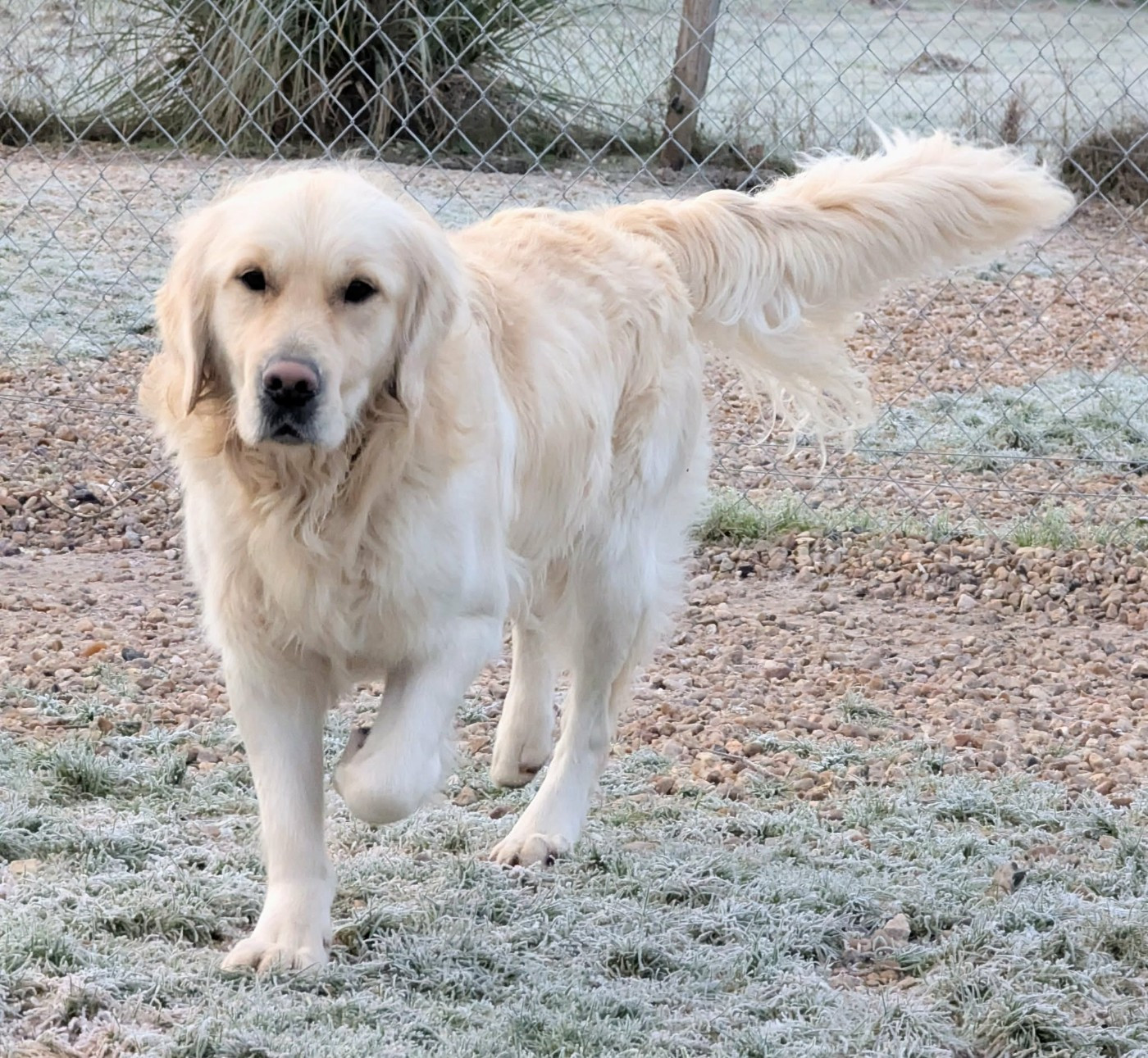 Vaïnaho Elixir d'Aydoilles