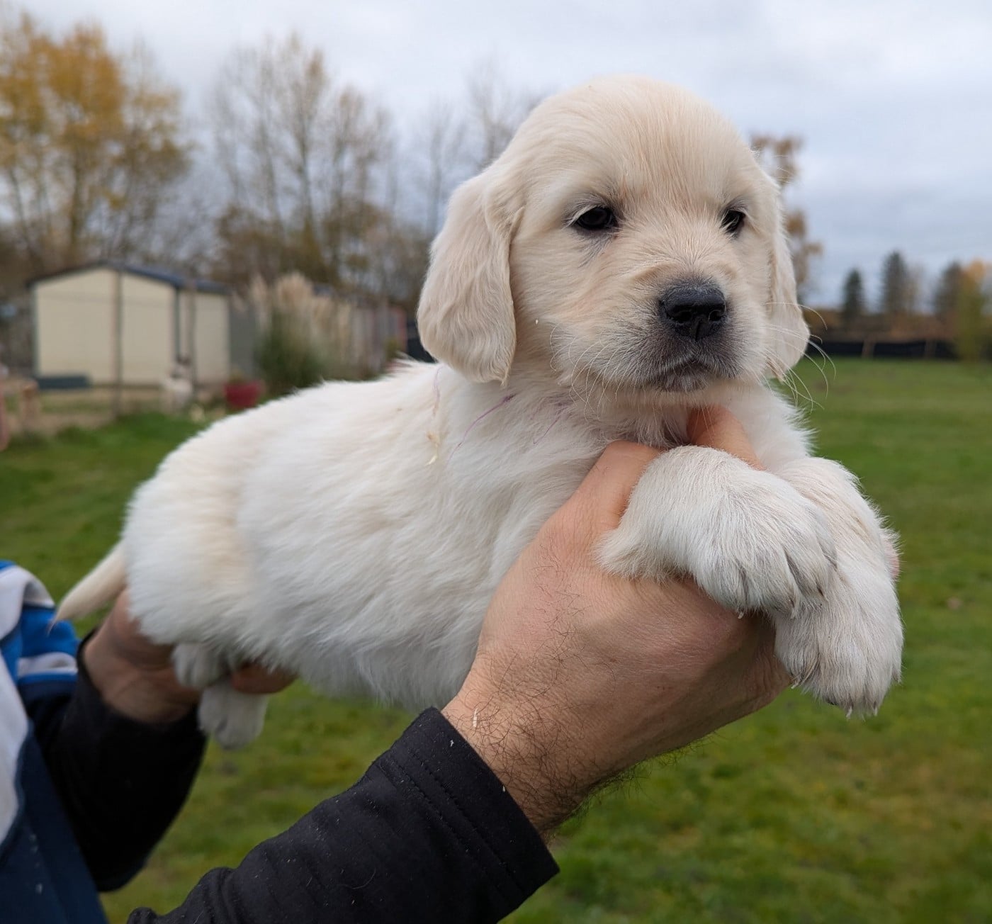 A' Maddie du Domaine Charlésien