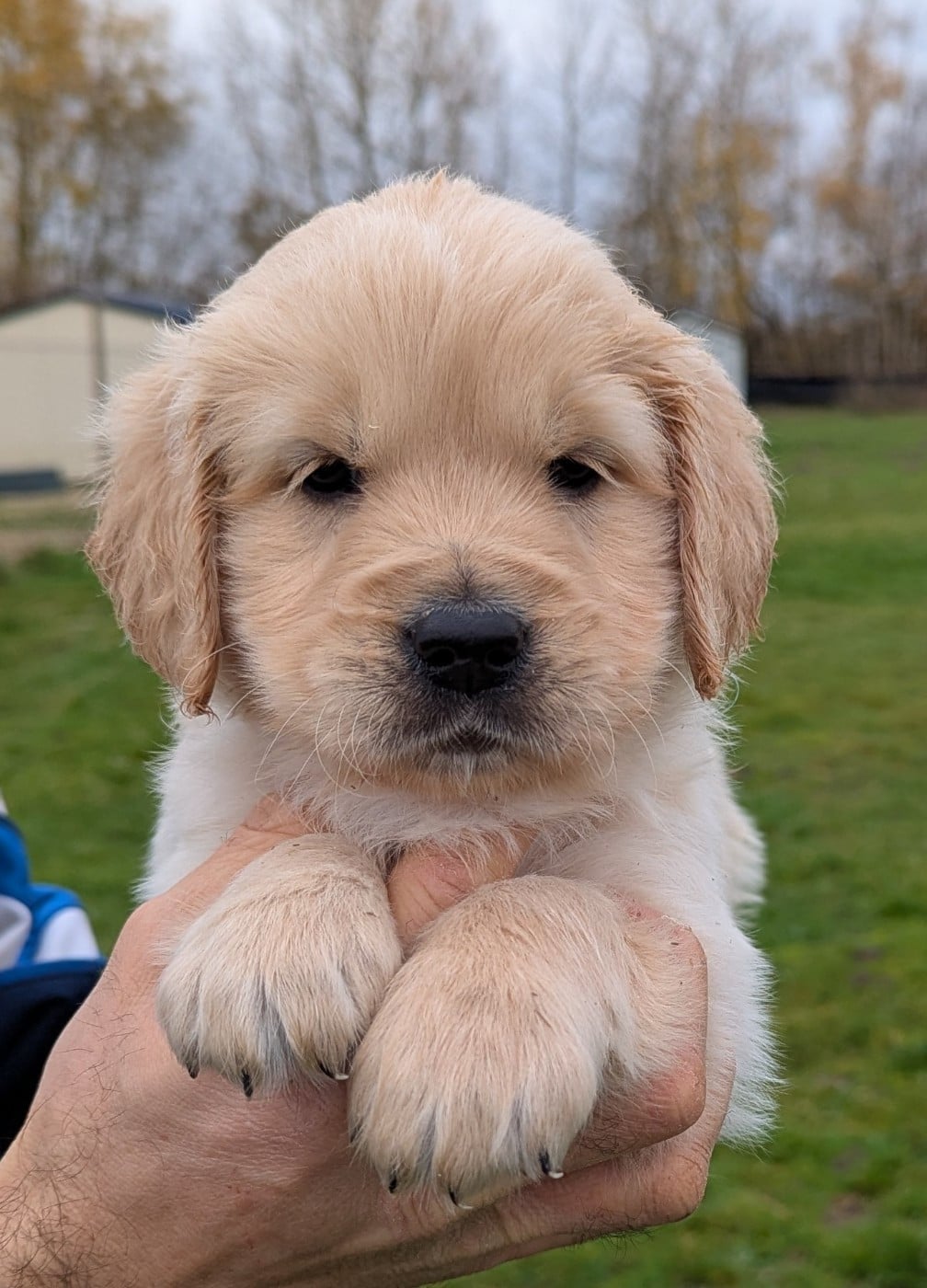 Aïko du Domaine Charlésien