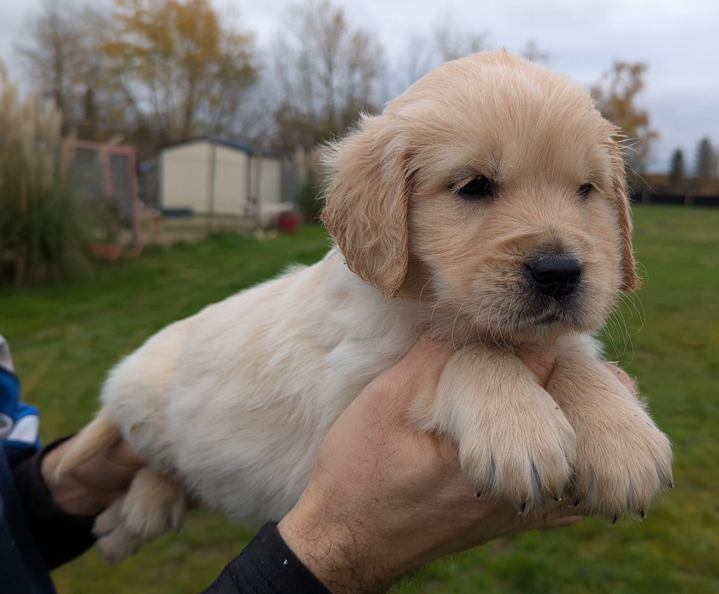 Aïko du Domaine Charlésien