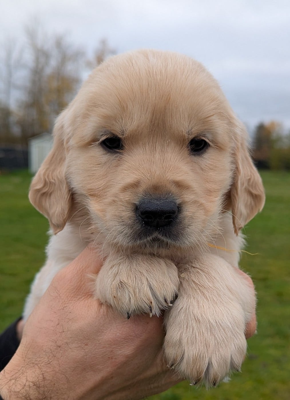 Aiko' du Domaine Charlésien