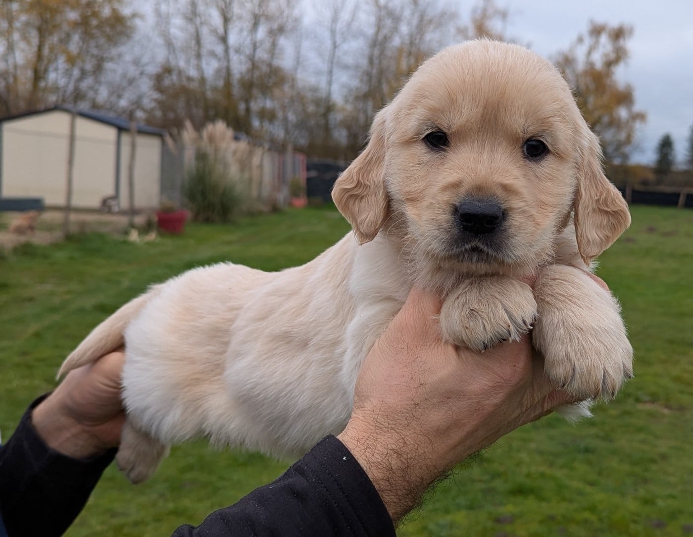 Aiko' du Domaine Charlésien