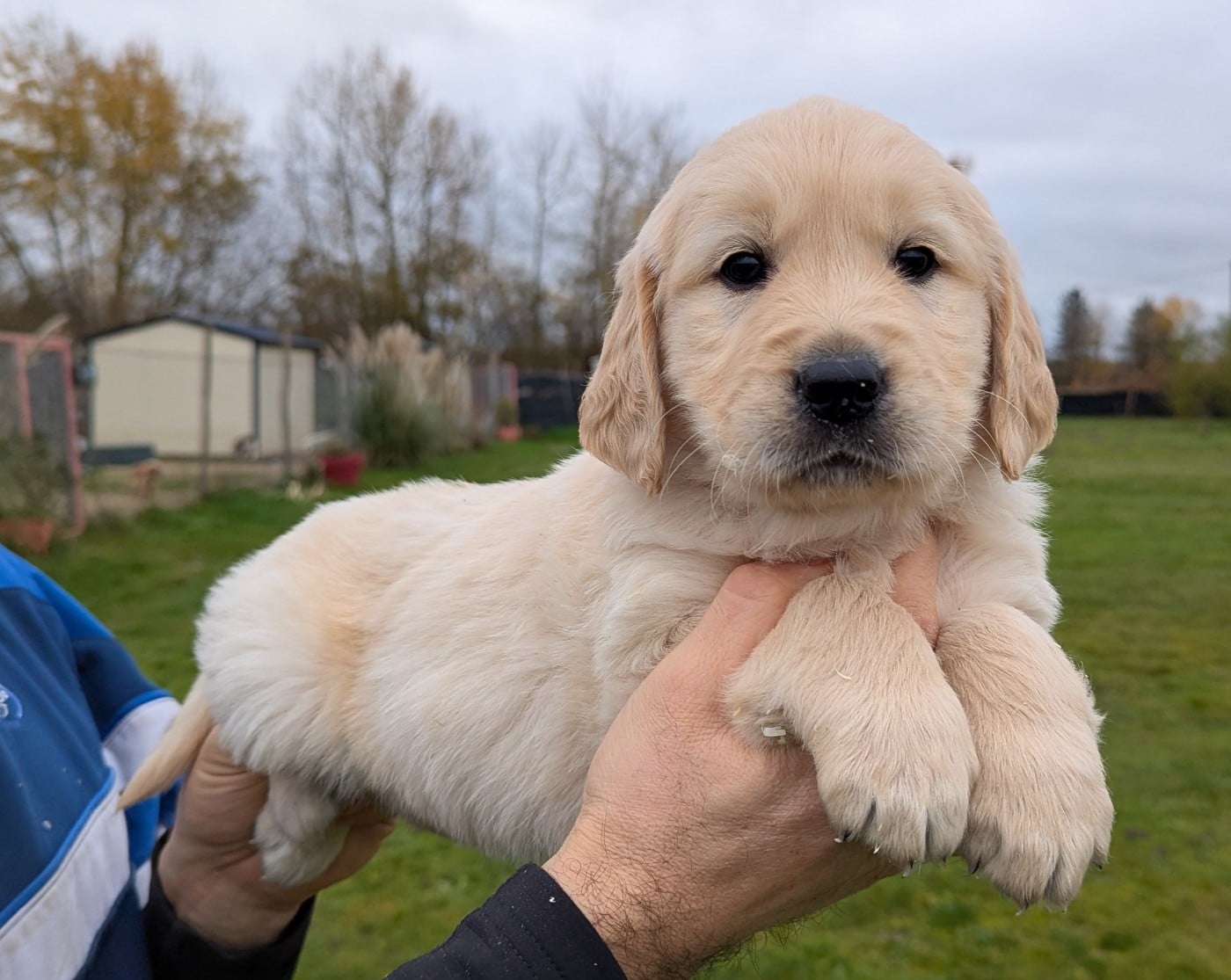 Athos du Domaine Charlésien