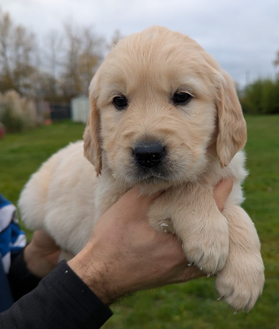Athos du Domaine Charlésien