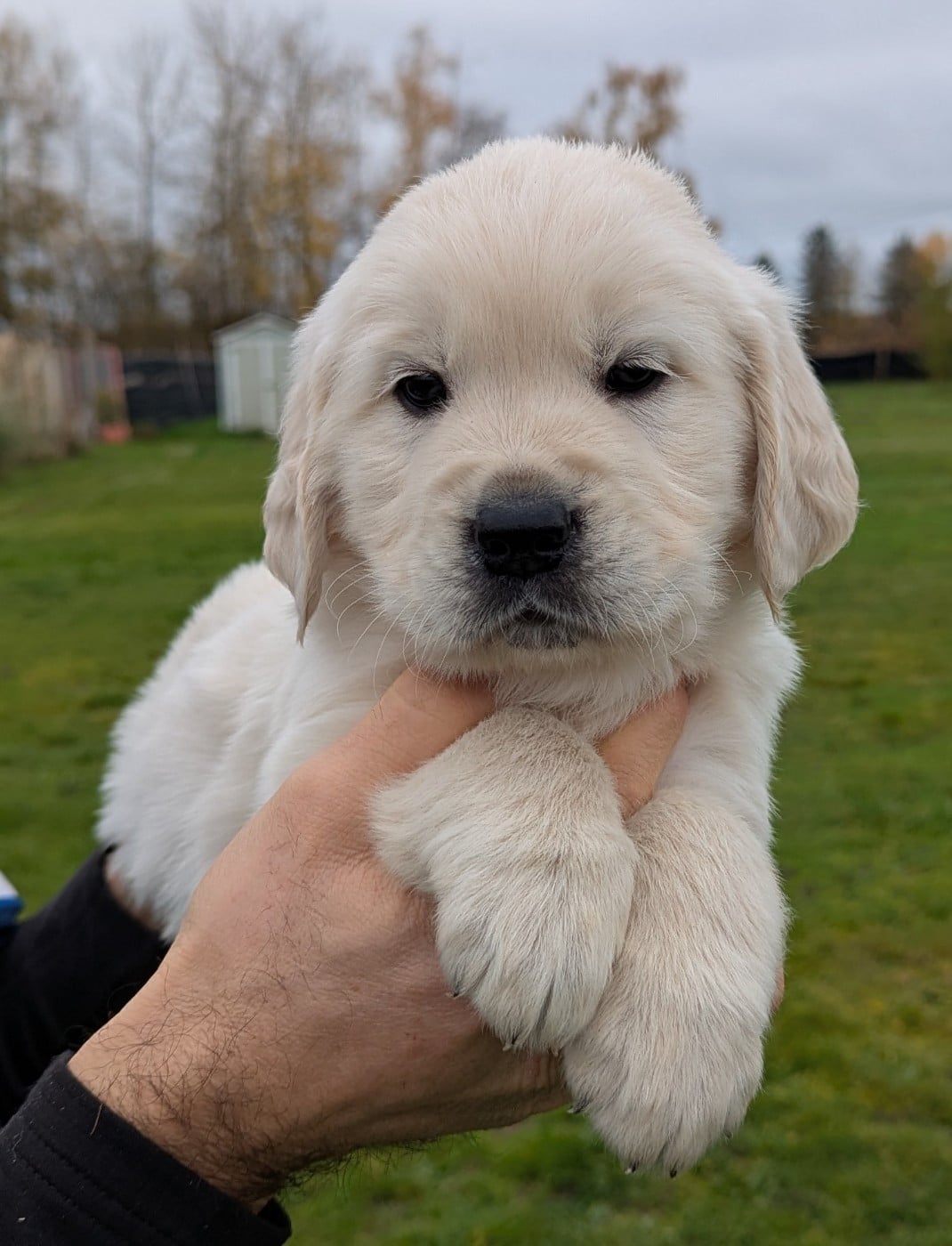 Aïko'' du Domaine Charlésien