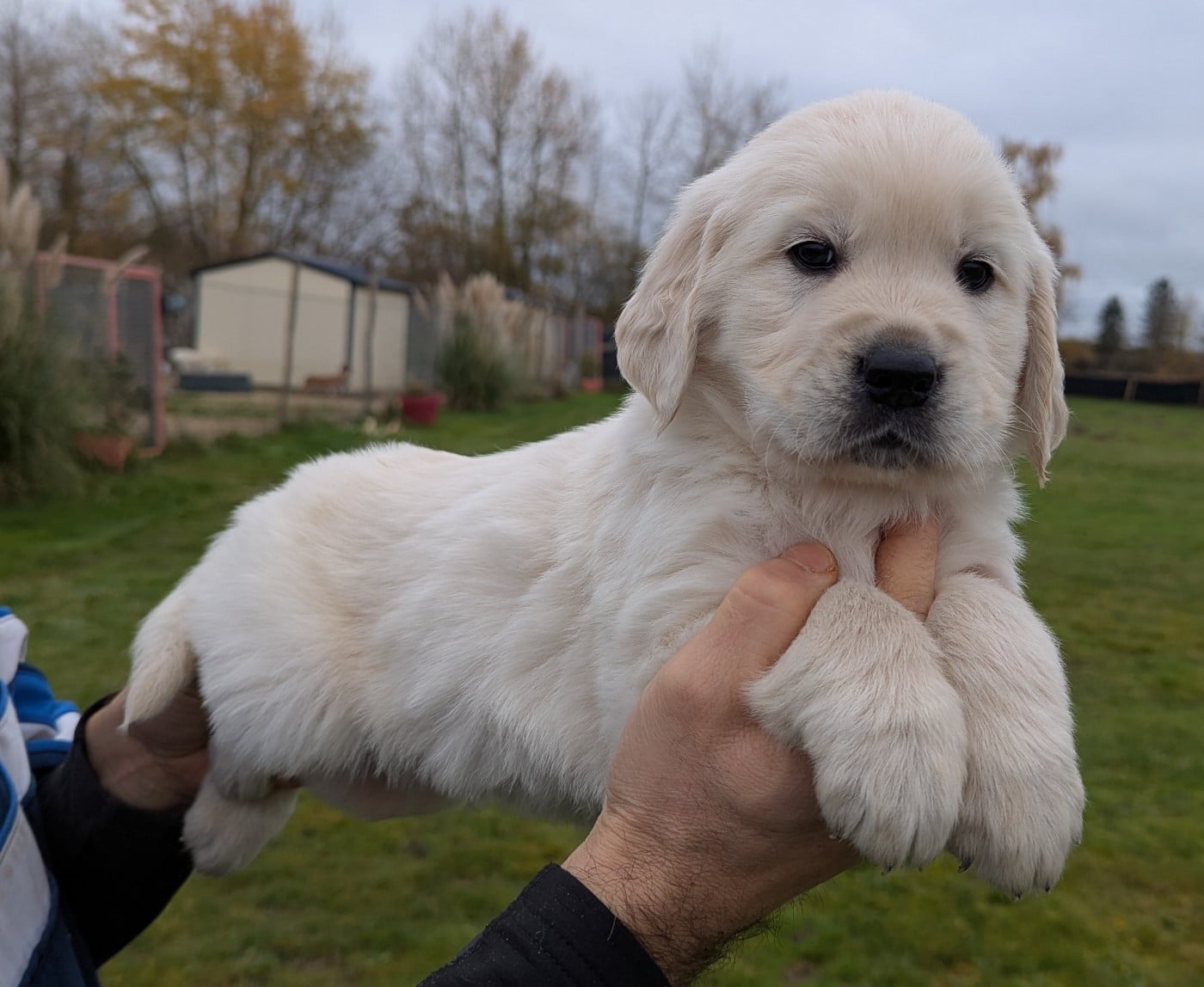 Aïko'' du Domaine Charlésien