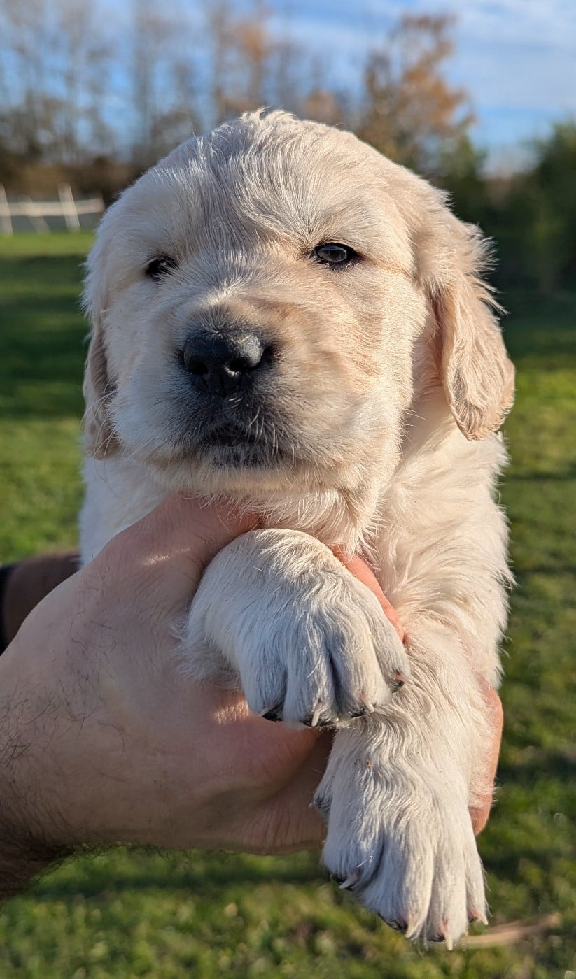 A' Nox du Domaine Charlésien