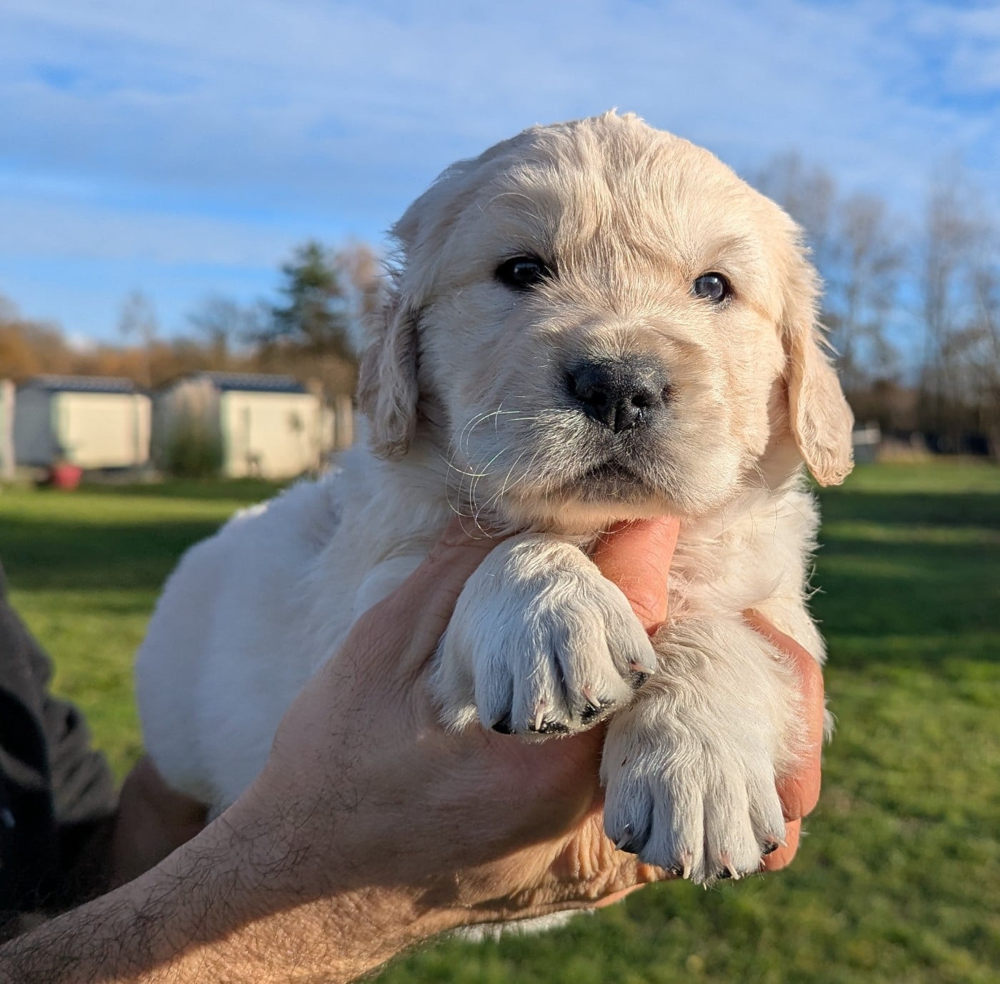 A' Nox du Domaine Charlésien