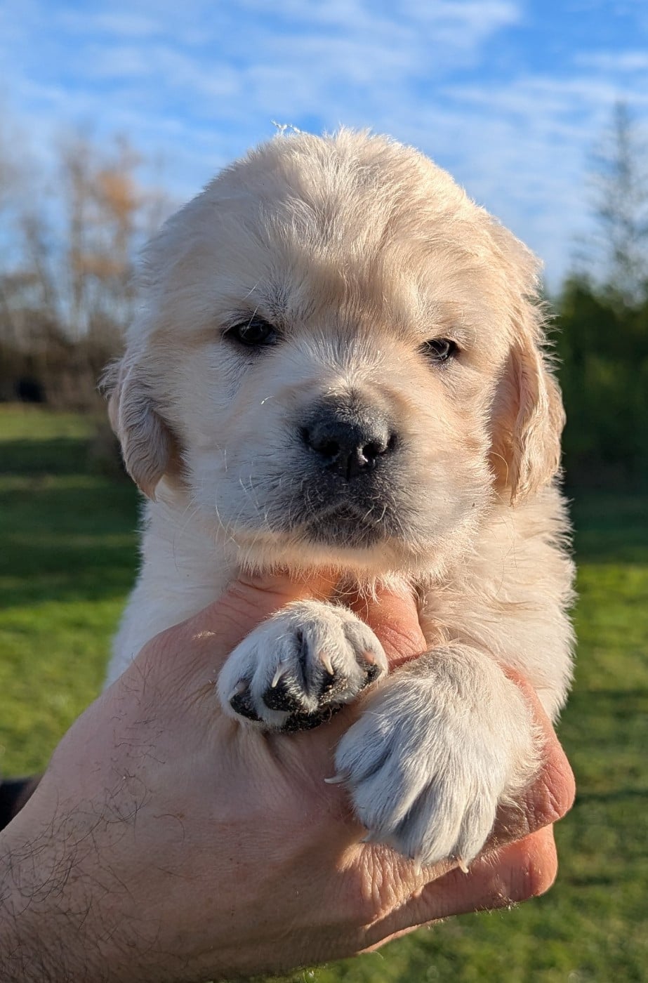 Atlas du Domaine Charlésien