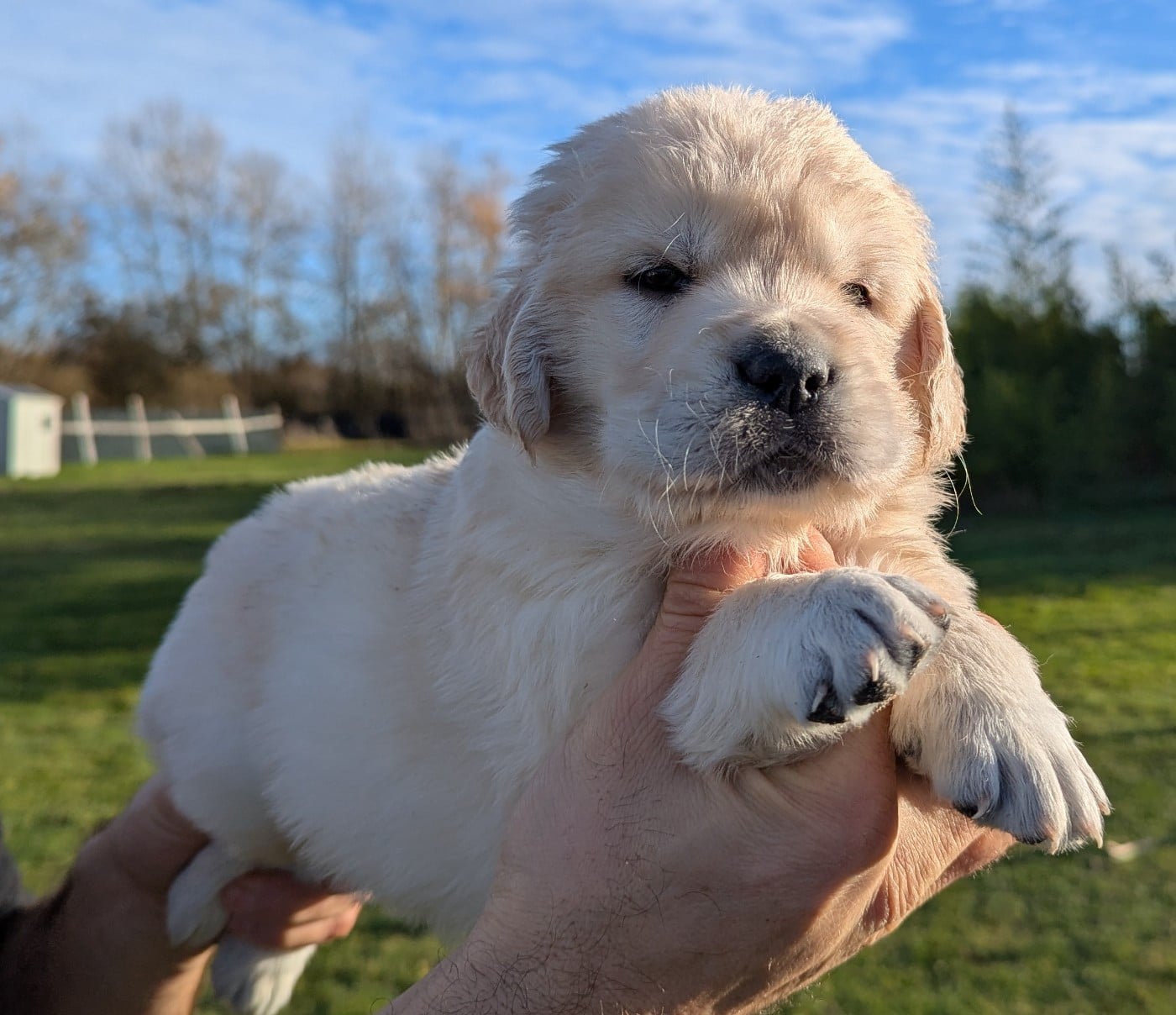 Atlas du Domaine Charlésien