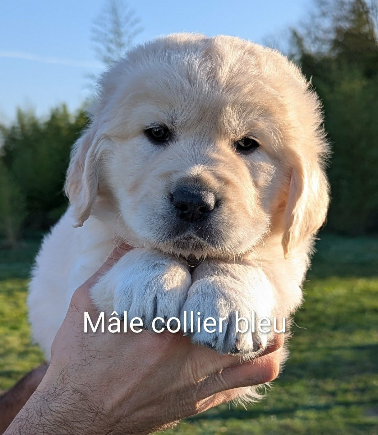 A' Nox du Domaine Charlésien