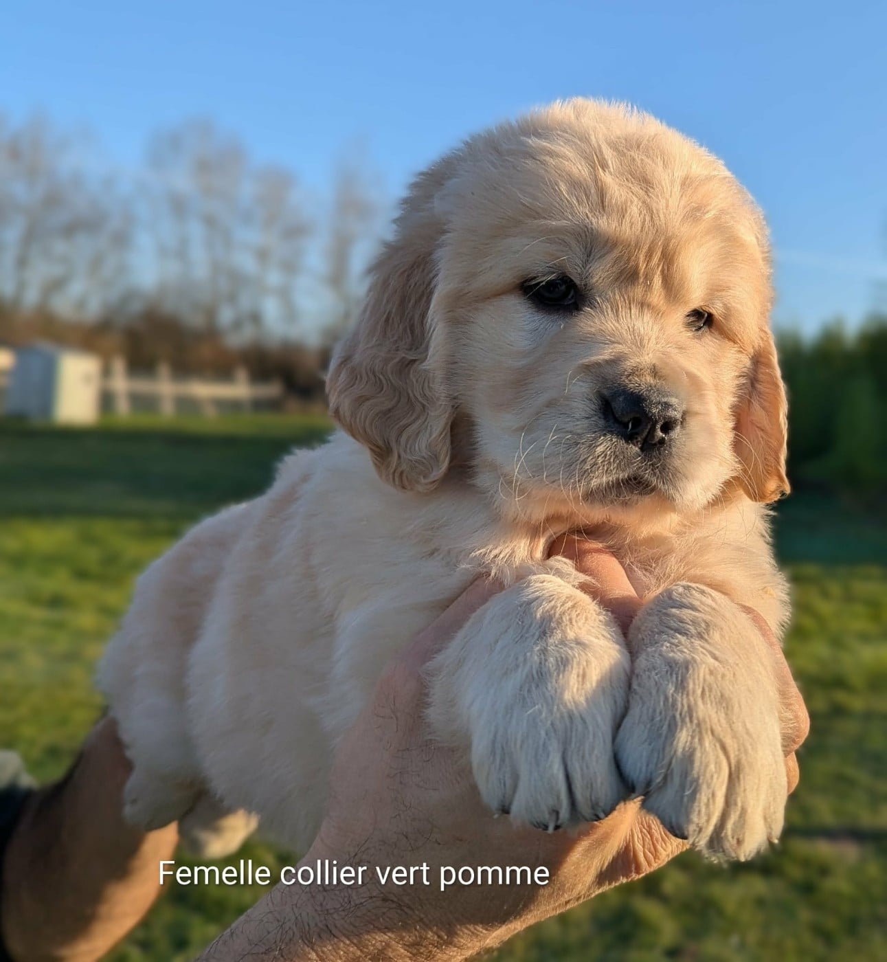 Appy du Domaine Charlésien