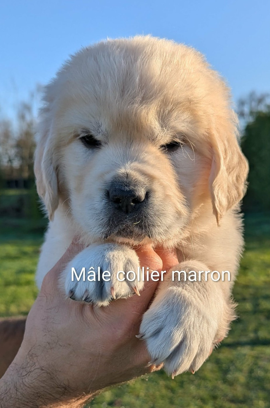 Atlas du Domaine Charlésien