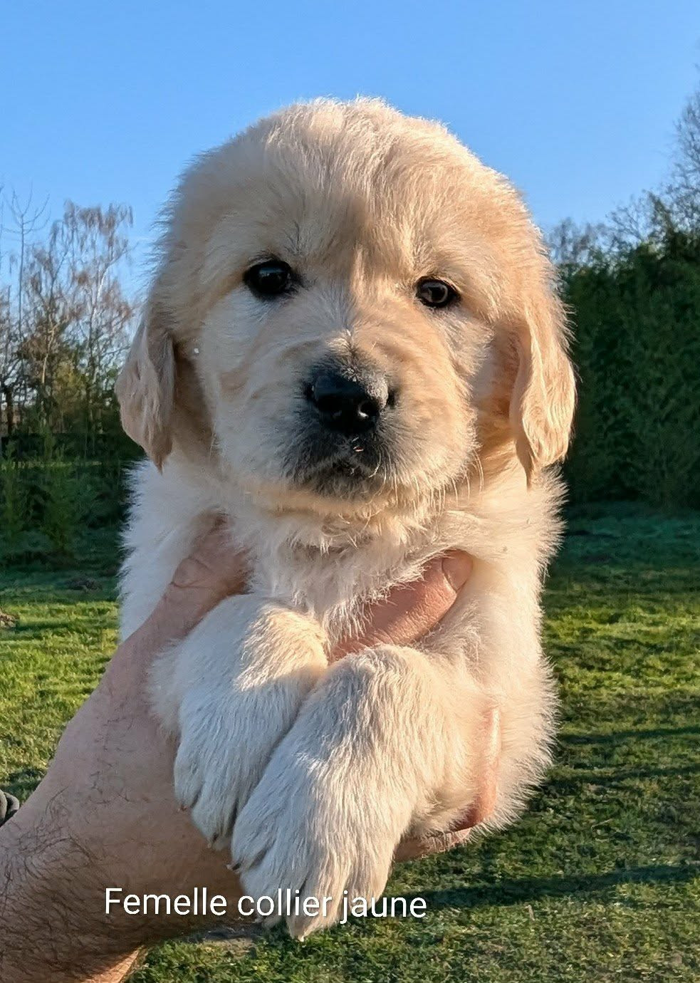 Alba du Domaine Charlésien