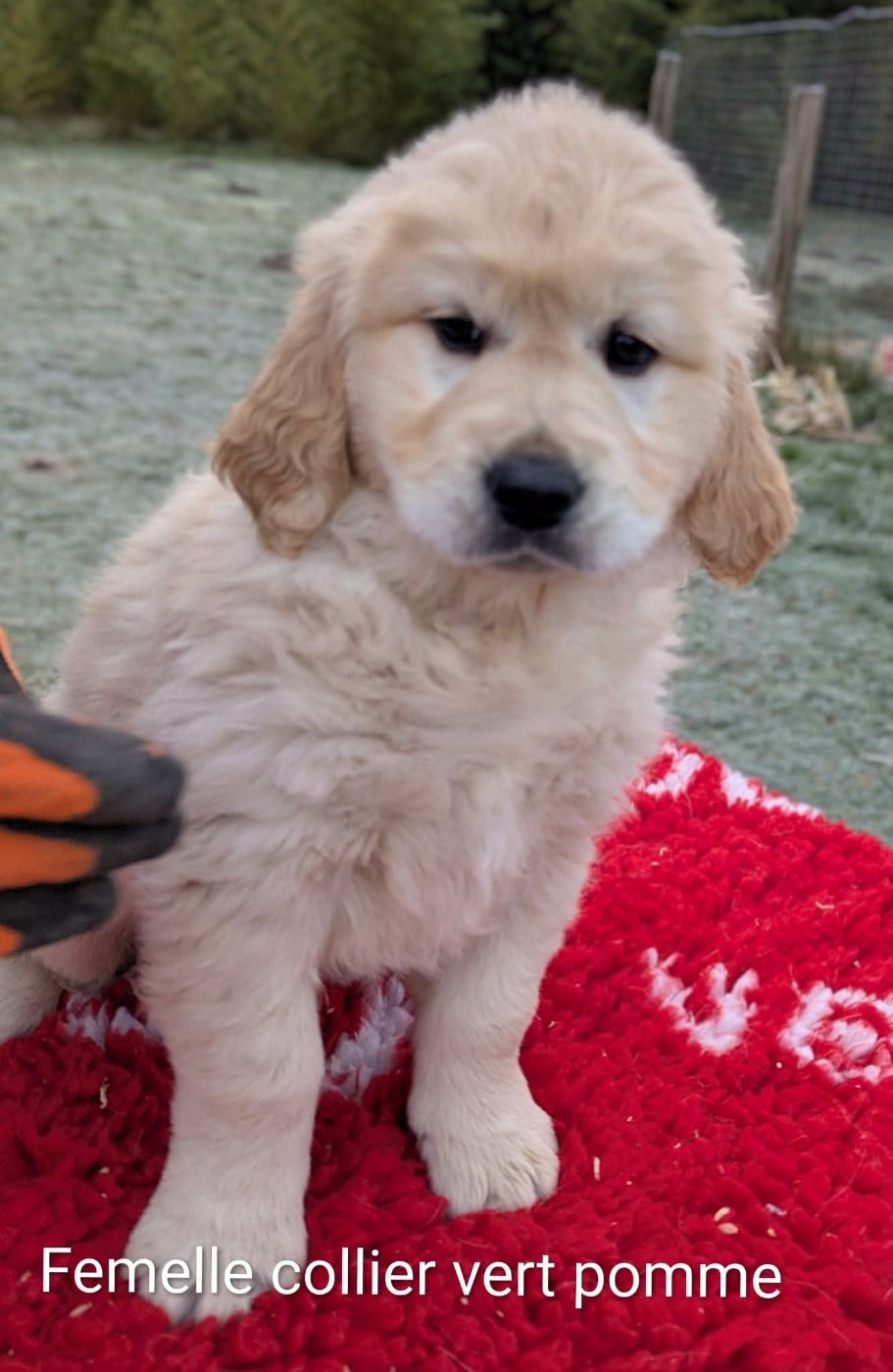 Appy du Domaine Charlésien