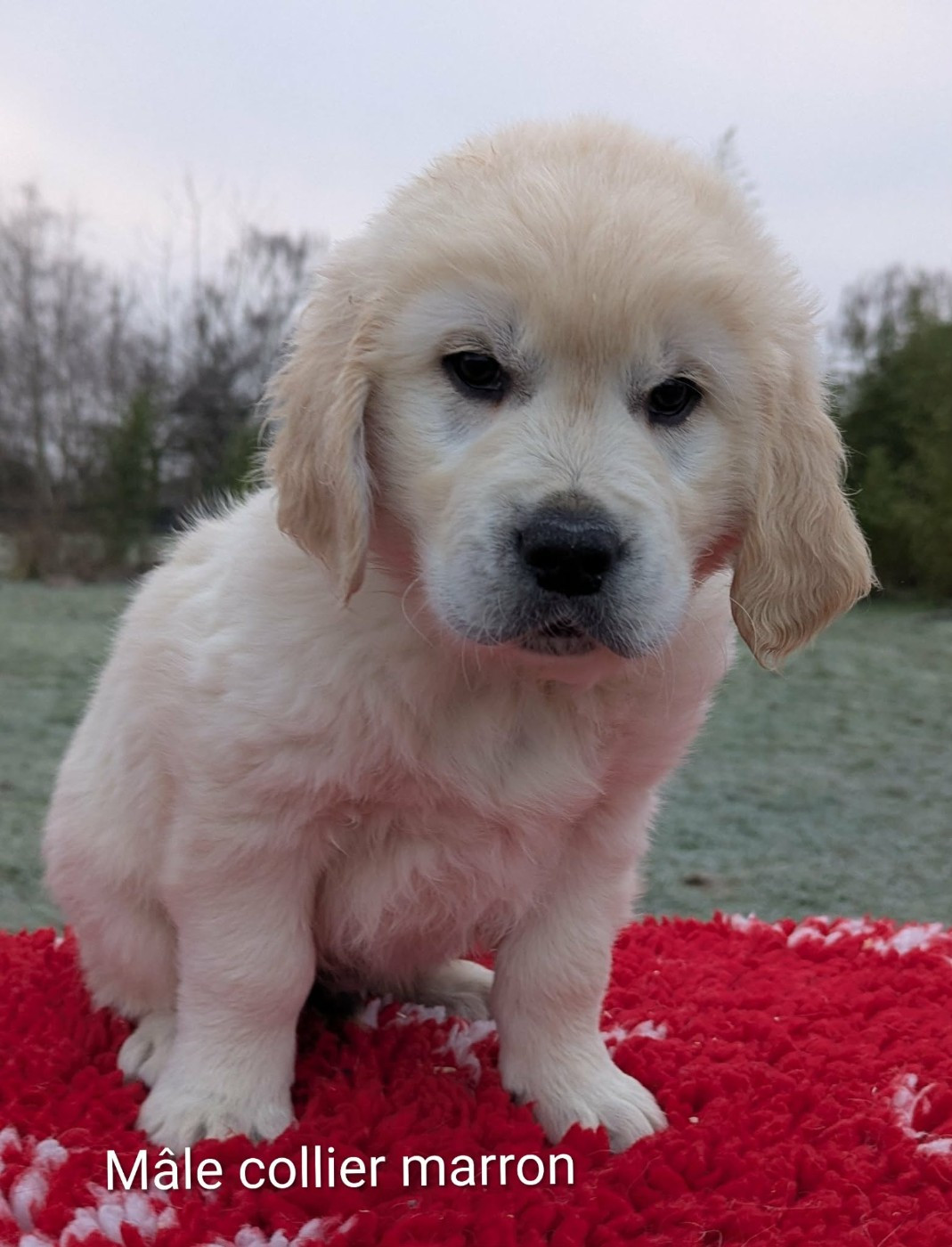 Atlas du Domaine Charlésien