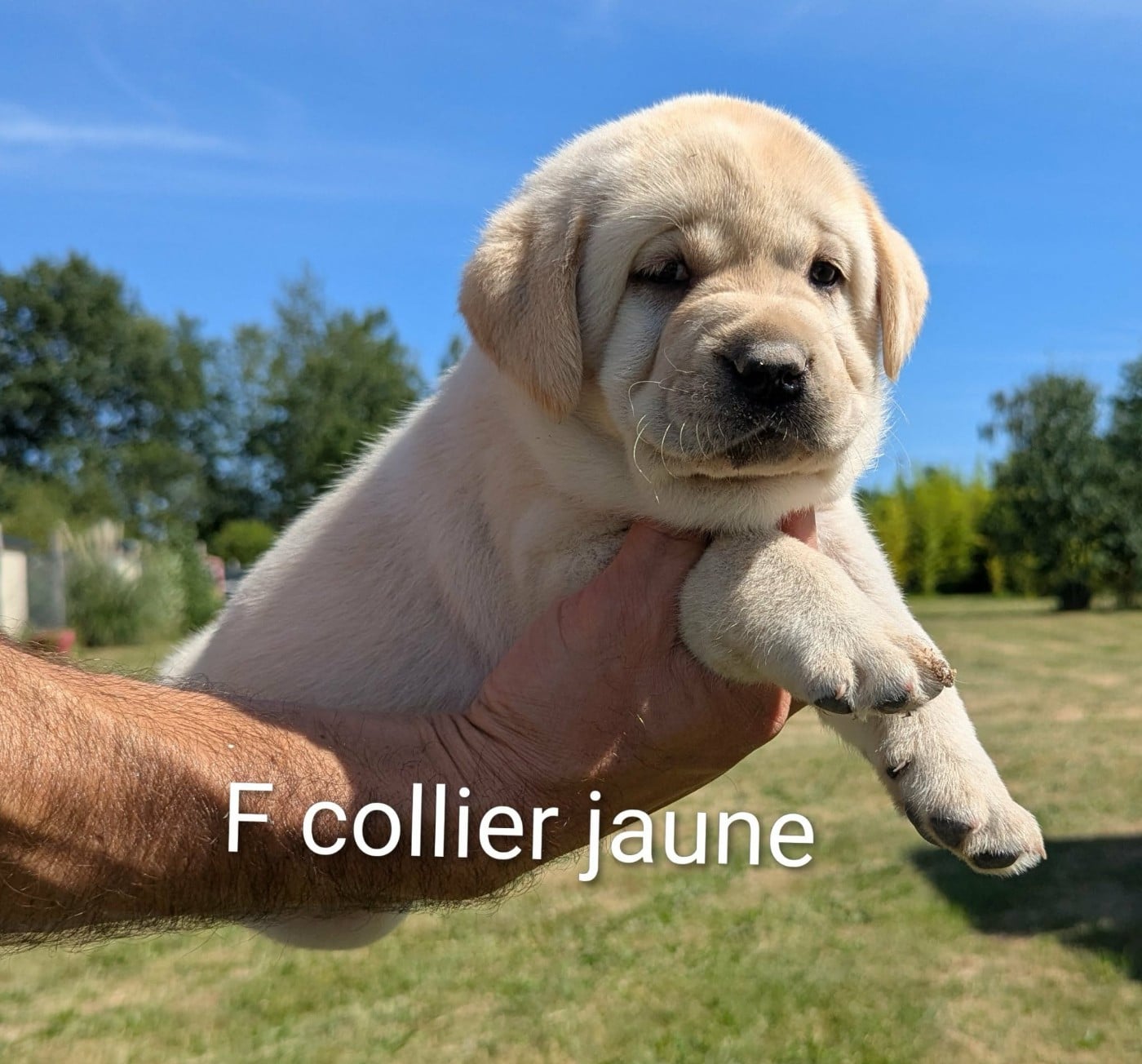 Bailey du Domaine Charlésien