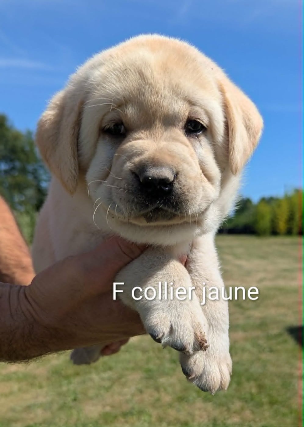 Bailey du Domaine Charlésien