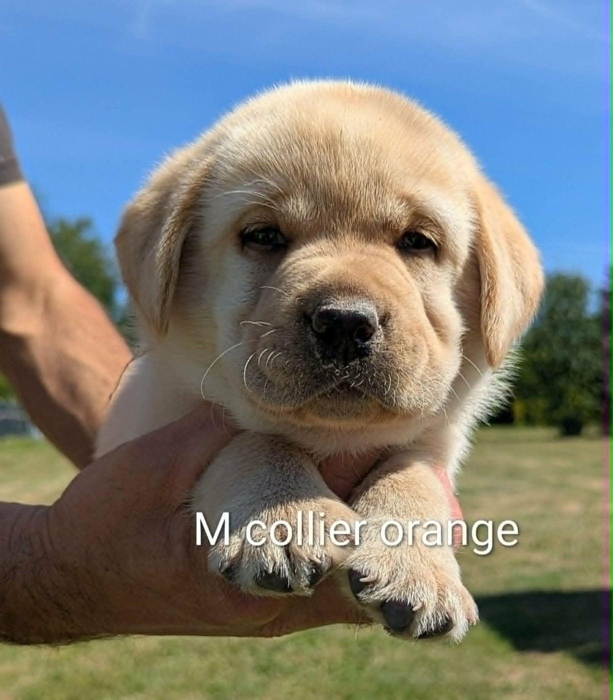 Bounty du Domaine Charlésien