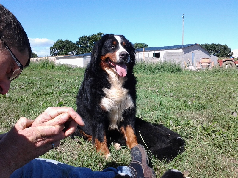 Publication : De La Villa Des Truffes D'or