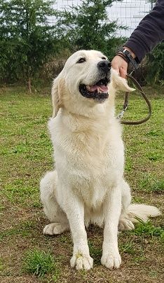 Publication : de l eternel mitness