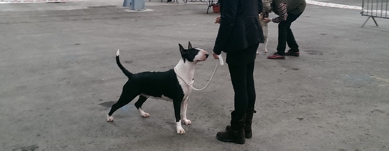 Heiretagi dou souleia lou prouvencaou at Rowenagain - 2ième TB