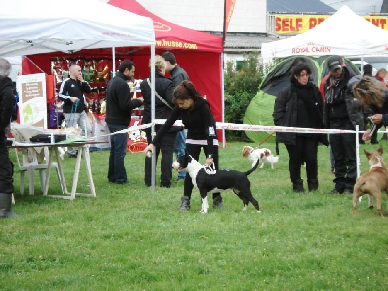 Heiretagi dou souleia lou prouvencaou at Rowenagain - 2 ième excellent CLASSE JEUNE