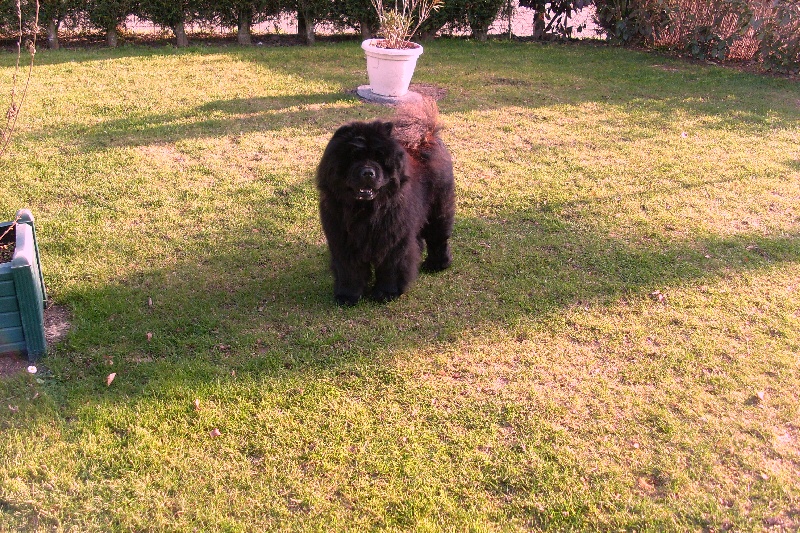 Publication : La Chaumière