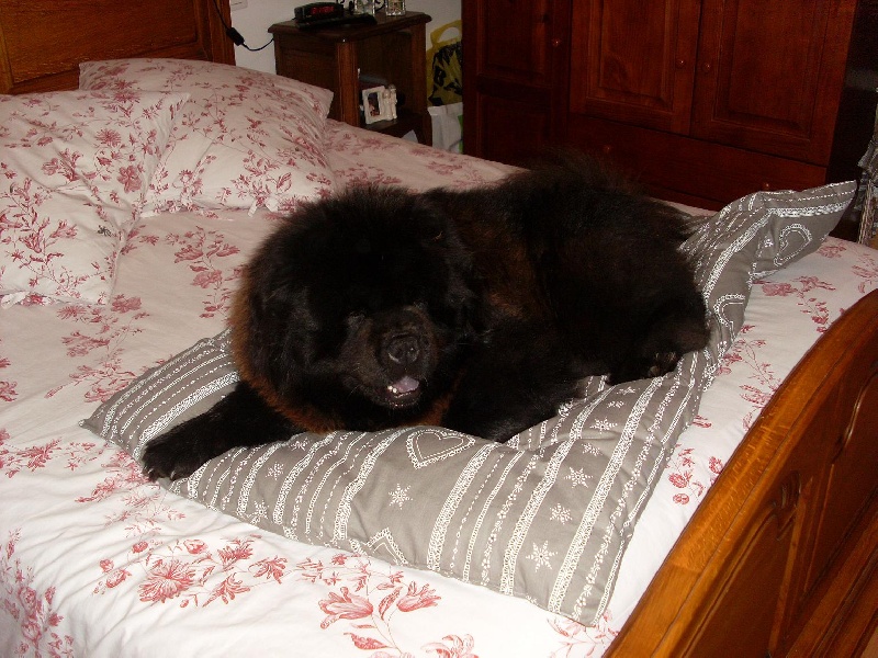 Publication : La Chaumière