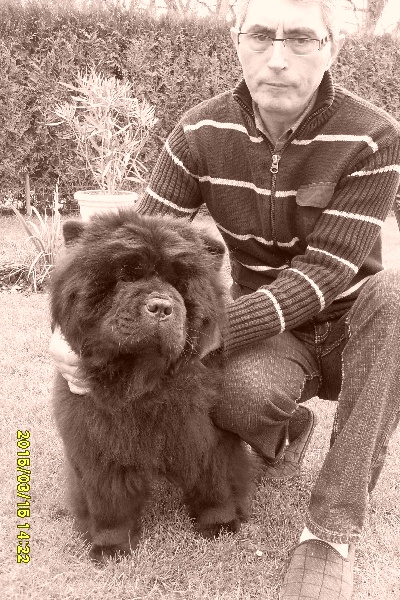 Publication : La Chaumière