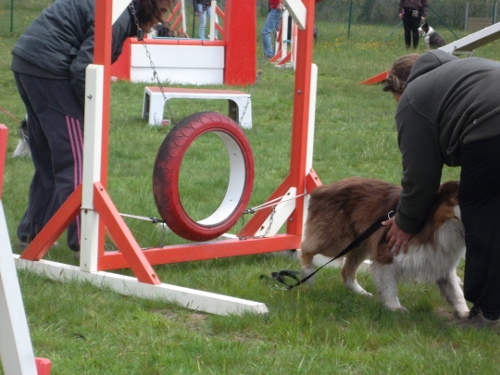 Garret sweet eyes du Chemin de la Lune aux Reves