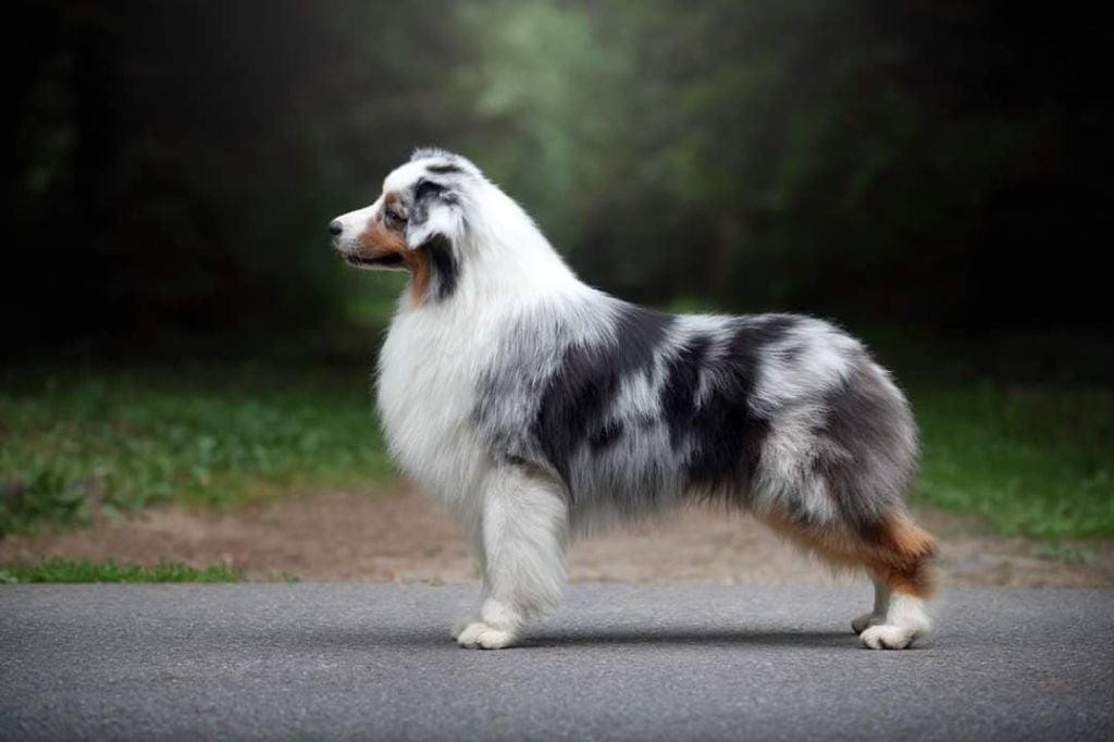 Publication : Dark Secret Garden