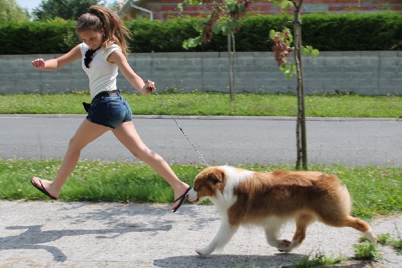 Garret sweet eyes du Chemin de la Lune aux Reves